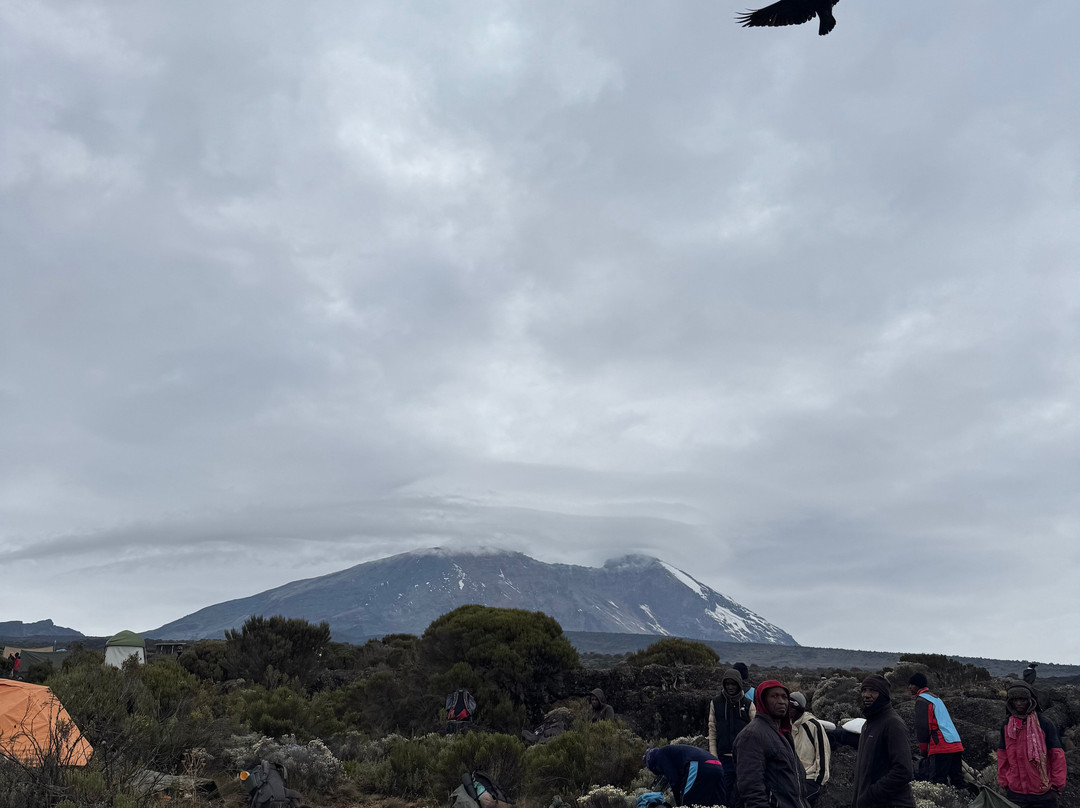 Tranquil Kilimanjaro-Machame必去景点