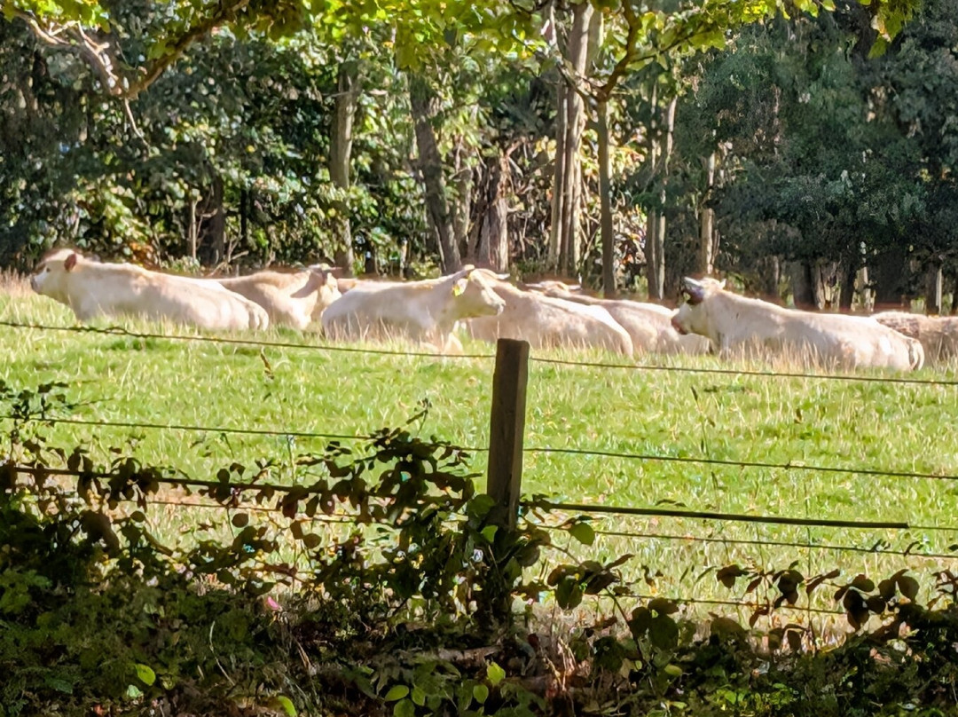 Lennoxlove House-Haddington必去景点
