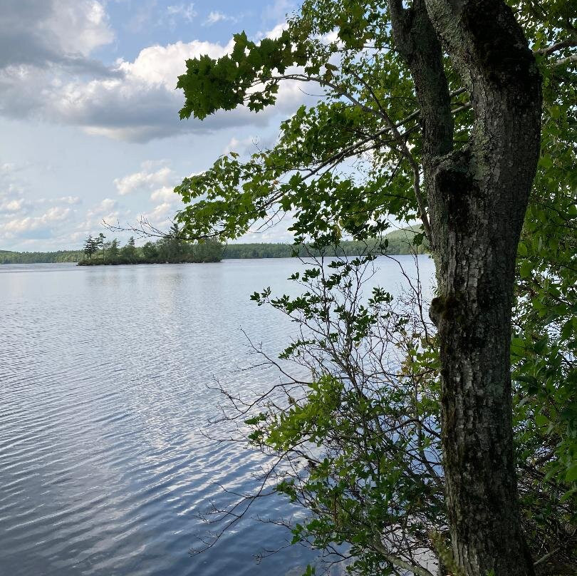 The Maguire House Bed and Breakfast主图