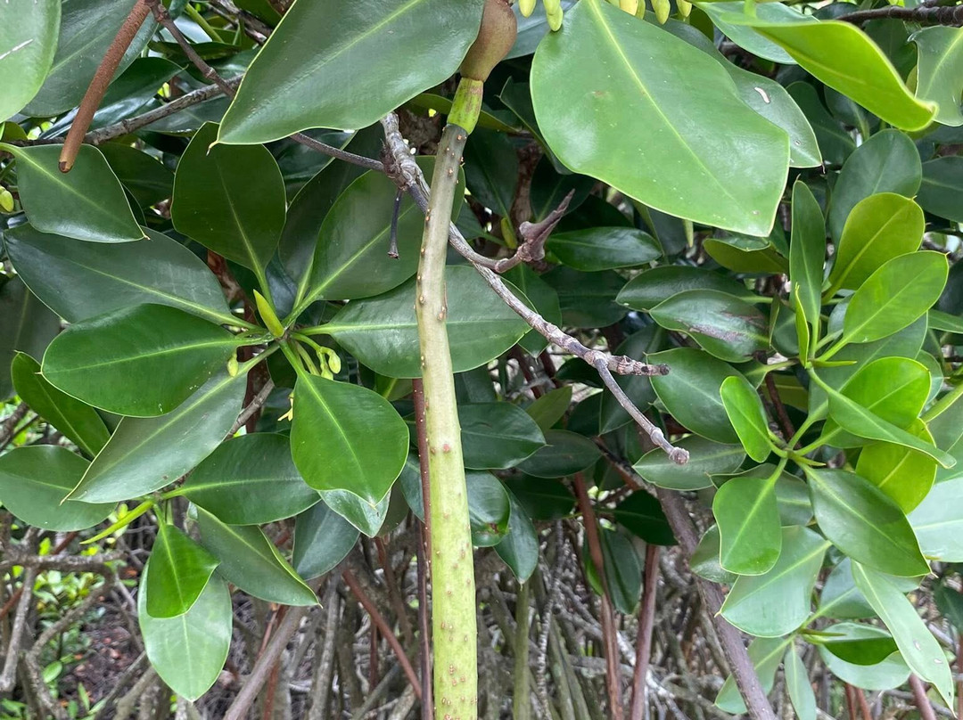 Blue Swimmer Outdoors-下龙湾必去景点