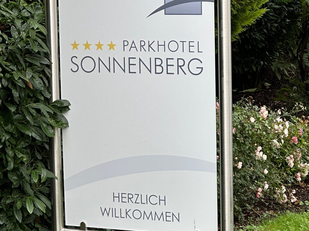 Parkhotel Sonnenberg Eltville主图