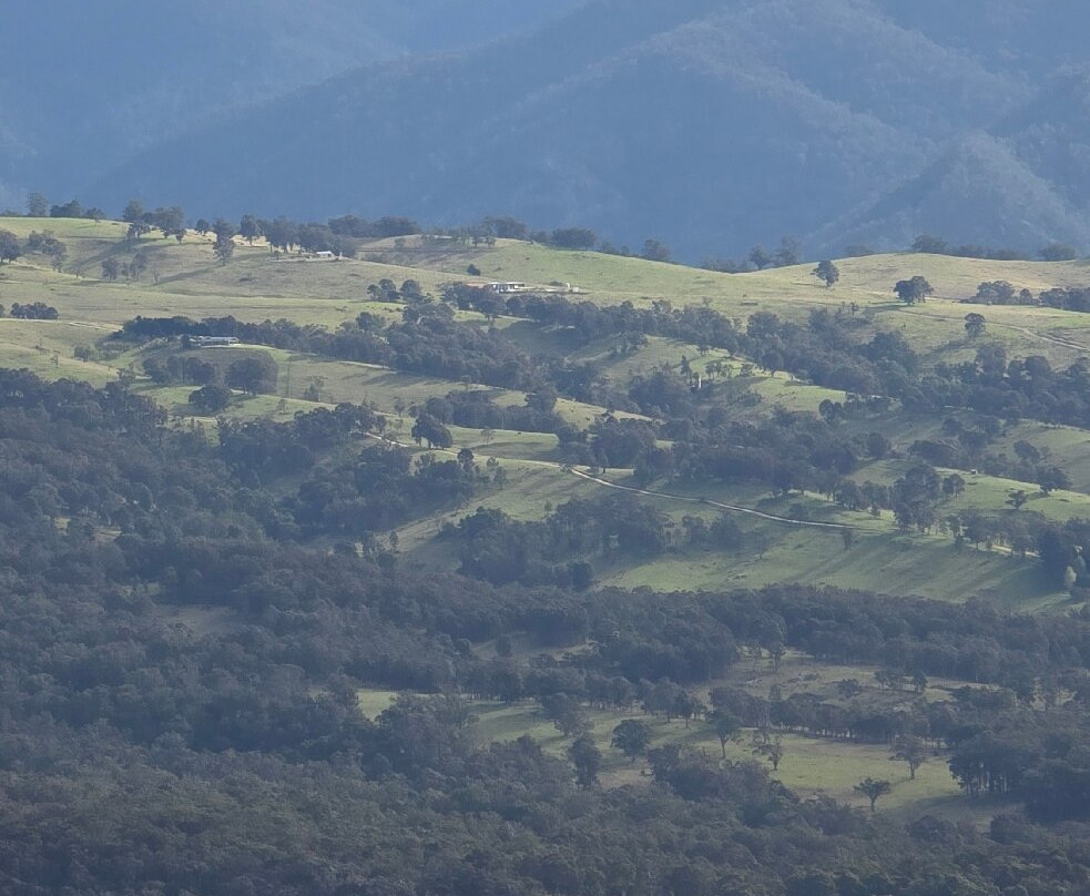 Cahill's Lookout-卡通巴必去景点