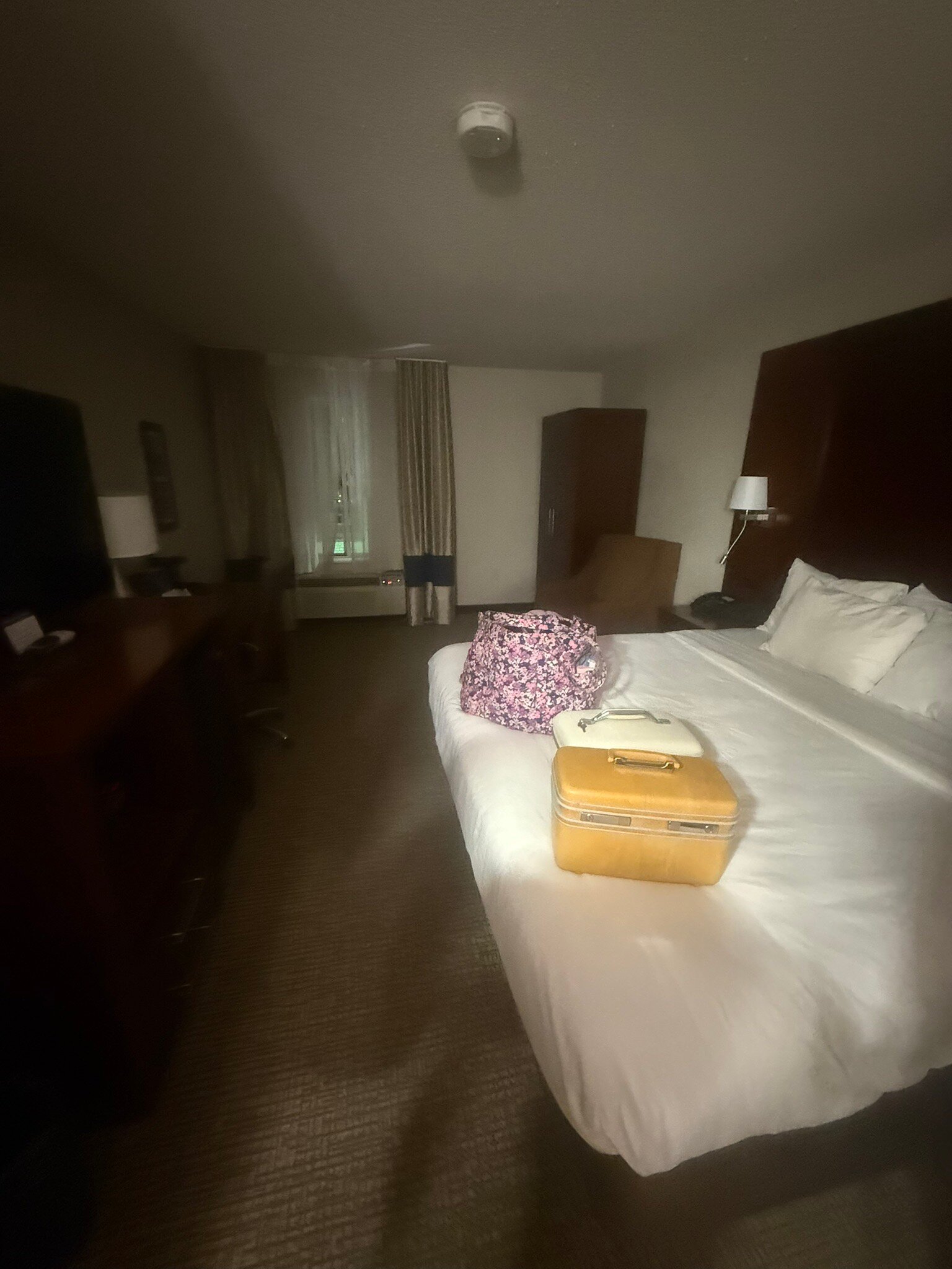 Comfort Inn & Suites Conway-官方