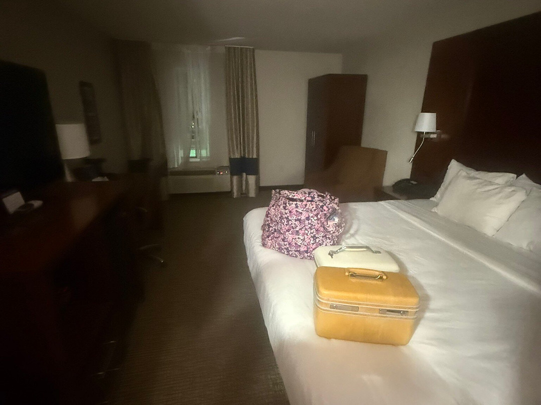 Comfort Inn & Suites Conway主图