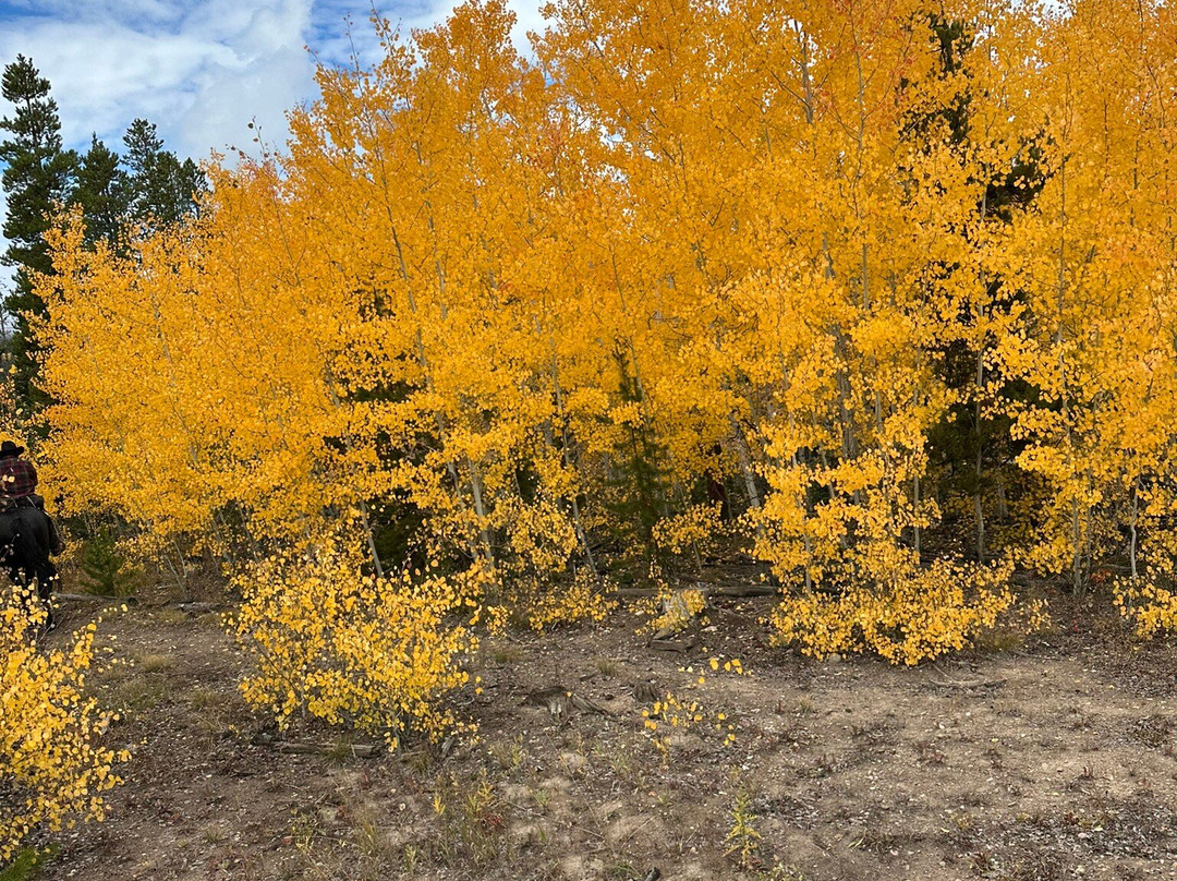 Rocky Mountain Stables-格兰比必去景点