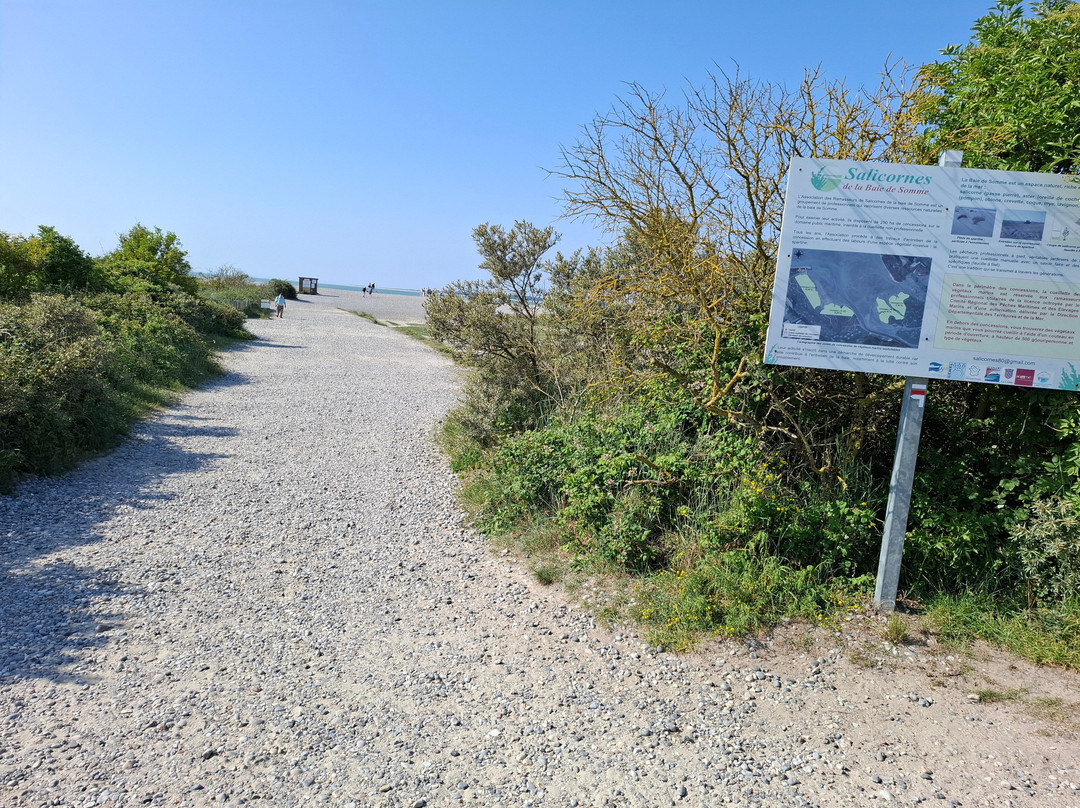 Le Hourdel-Cayeux-sur-Mer必去景点