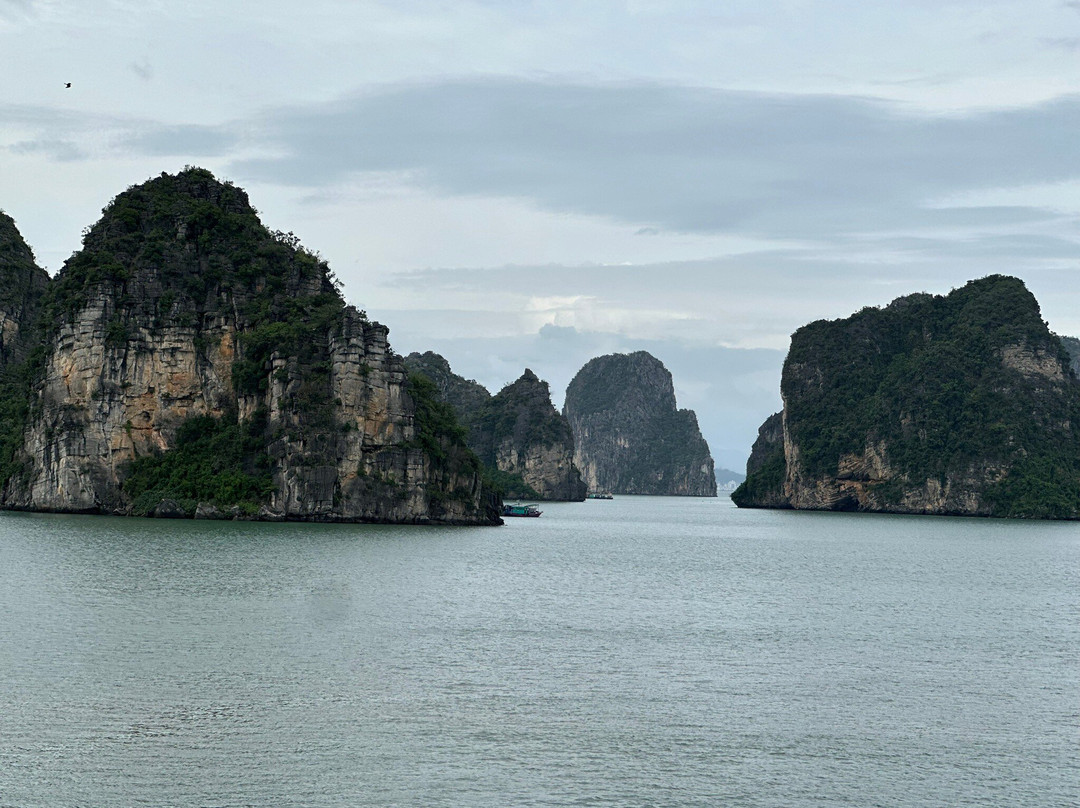 Halong Capella Cruise-海防必去景点