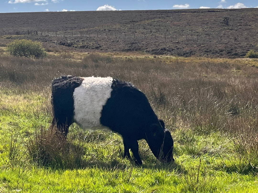 Three Shires Heads-巴克斯顿必去景点