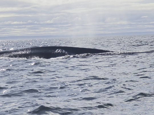 Du Fleuve-Les Escoumins必去景点