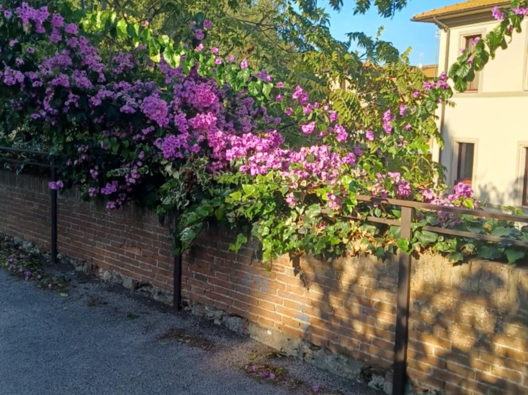 Mura di Grosseto-格罗塞托必去景点