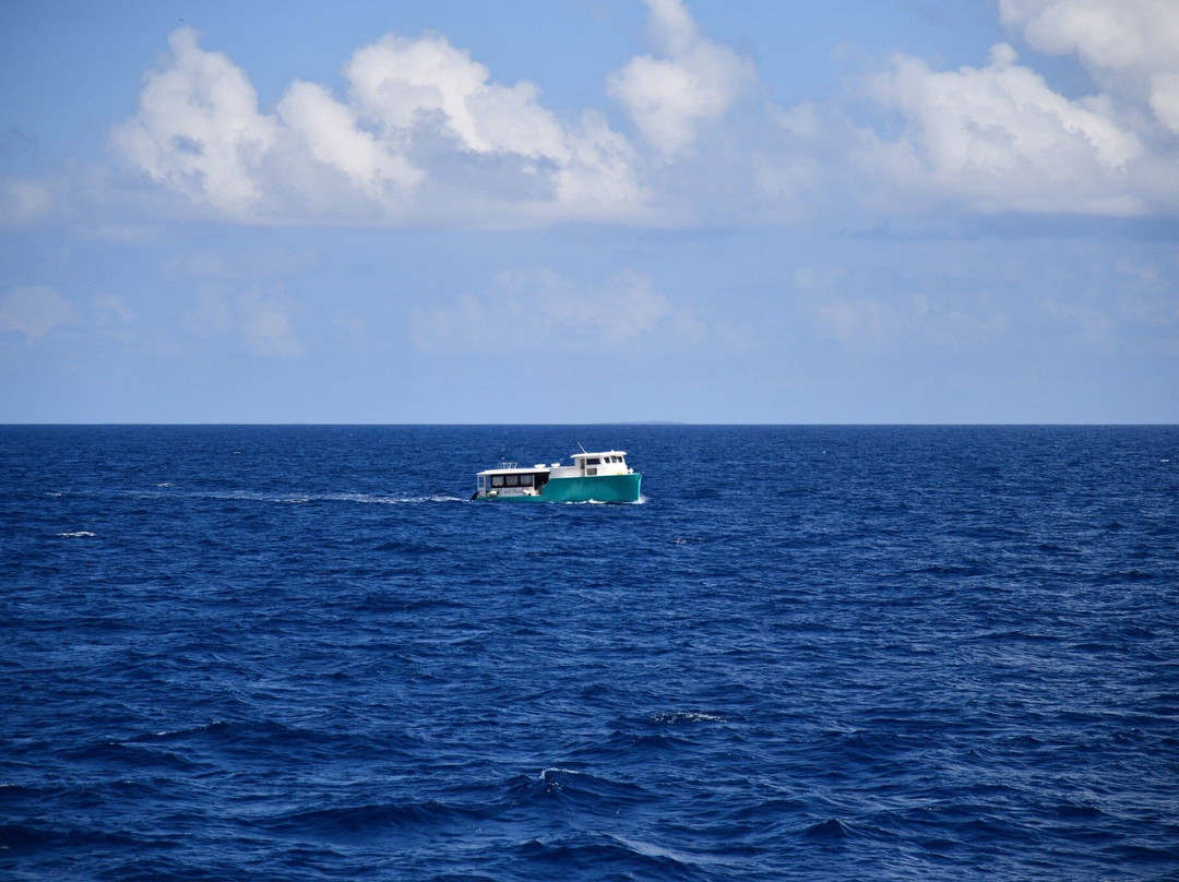 Adora Liveaboard, Maldives-马累必去景点