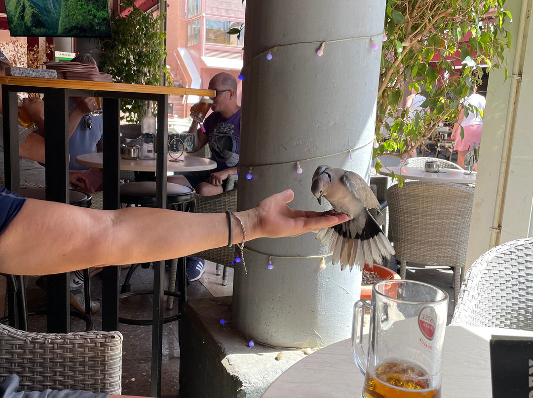 Cafe Eden Bar-英国人海滩必去景点