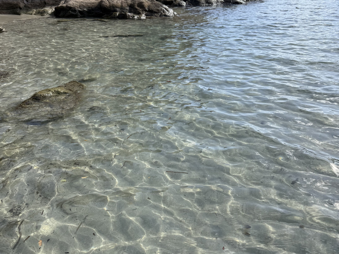 Plage de Canella-Sari-Solenzara必去景点