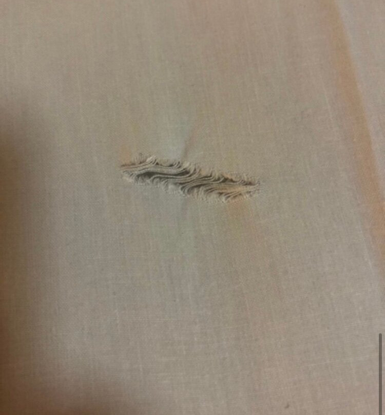 皇家棕榈汽车旅馆主图