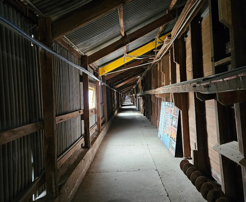 The Stick Shed at Murtoa-Murtoa必去景点