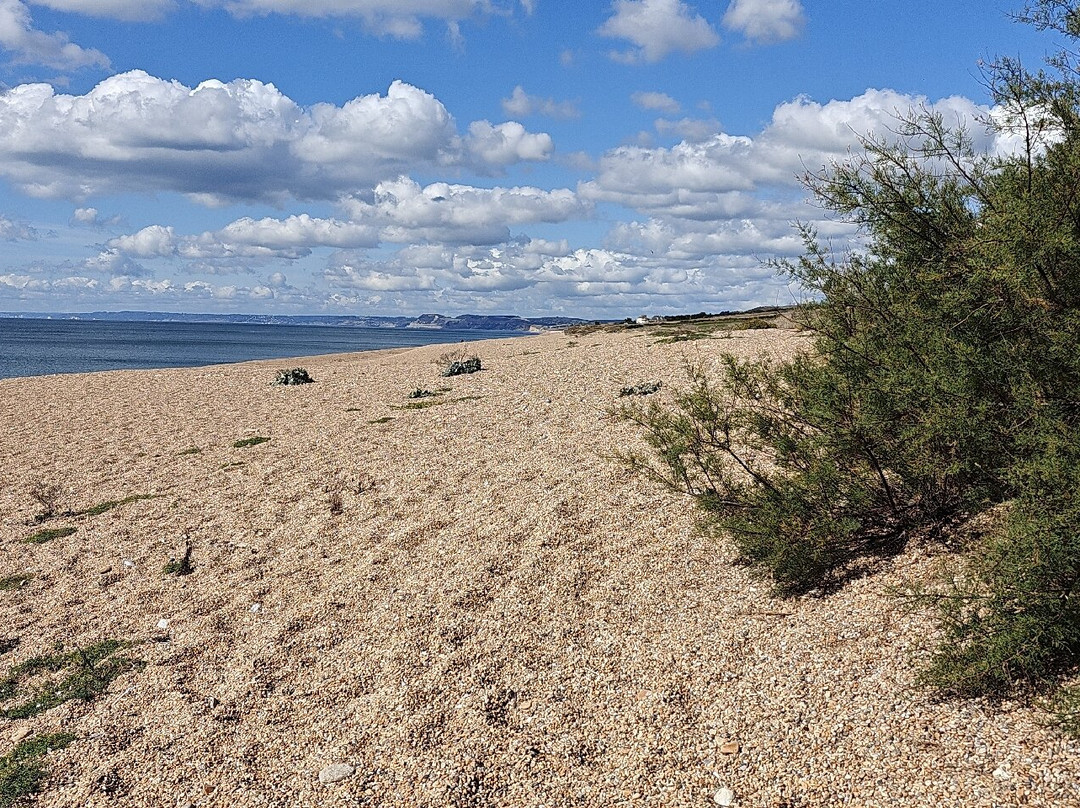 Chesil Beach-韦茅斯必去景点