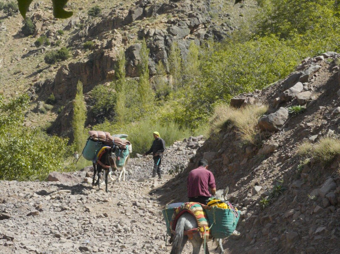 Berber Magic Tours-马拉喀什必去景点