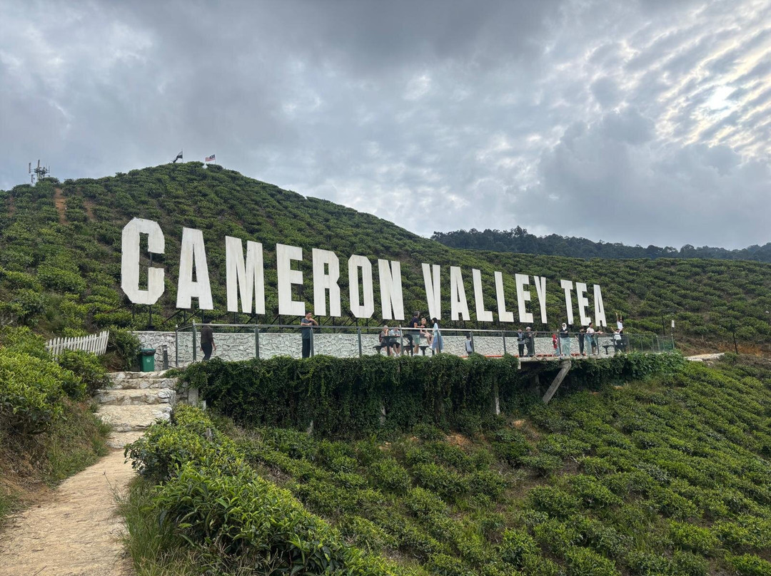 Cameron Highlands-彭亨必去景点
