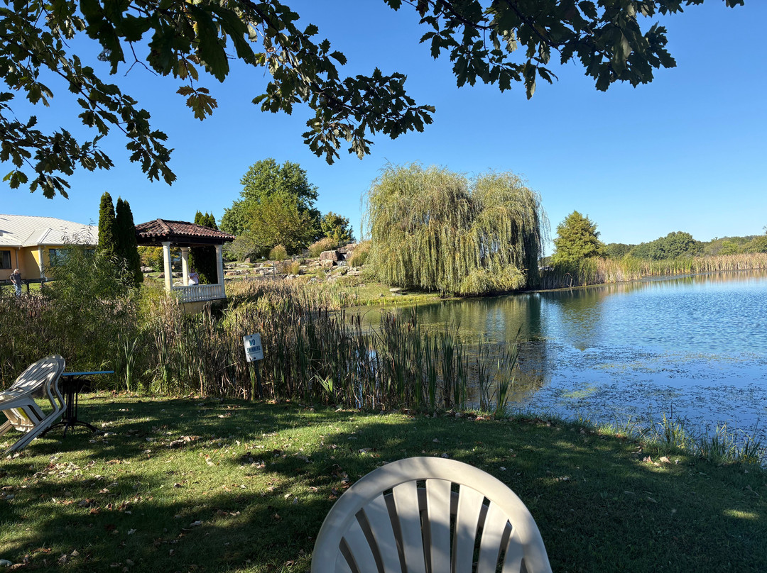 Blue Sky Vineyard-Makanda必去景点