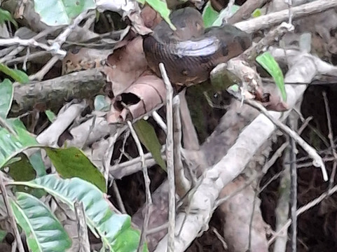 Vida Tours Ecuador-基多必去景点