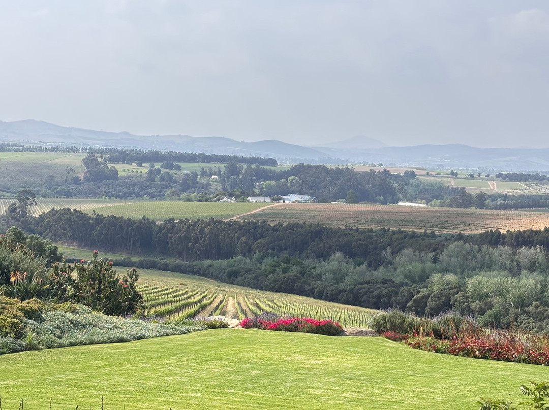 Ernie Els Wines-斯泰伦博斯必去景点