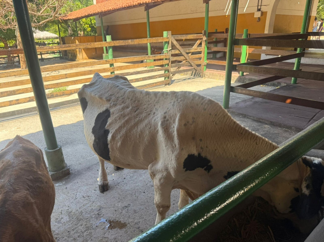 Engenhoca Parque-Aquiraz必去景点