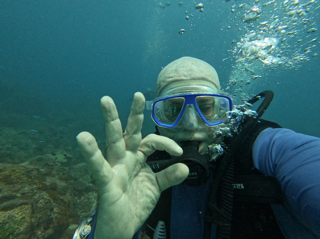 Blue Sea Divers Sainte-Anne-Sainte Anne Island必去景点