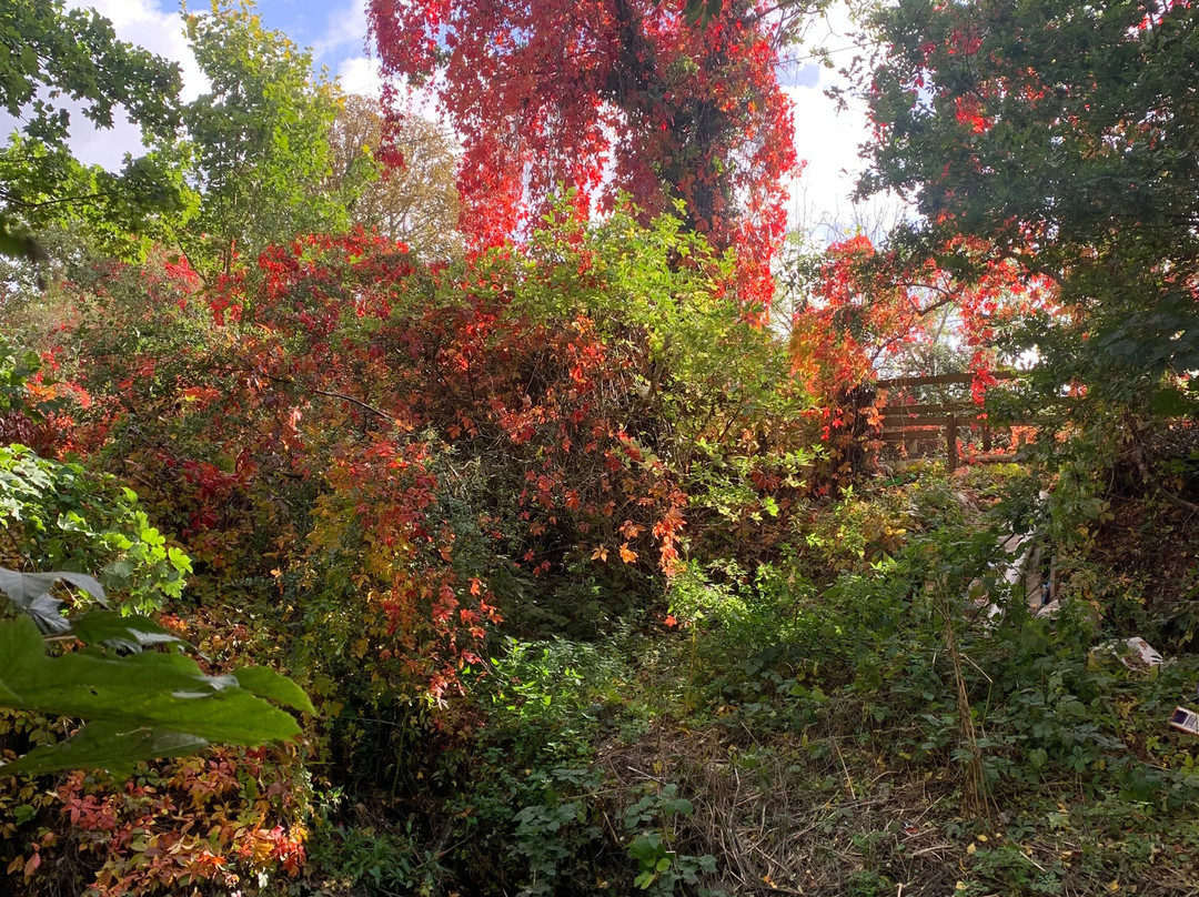 Eastbrookend Country Park-Dagenham必去景点