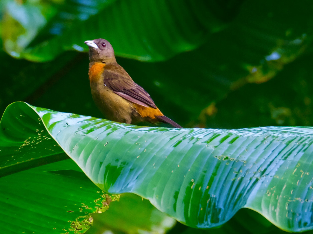 0S3 Private Tours-哈科必去景点