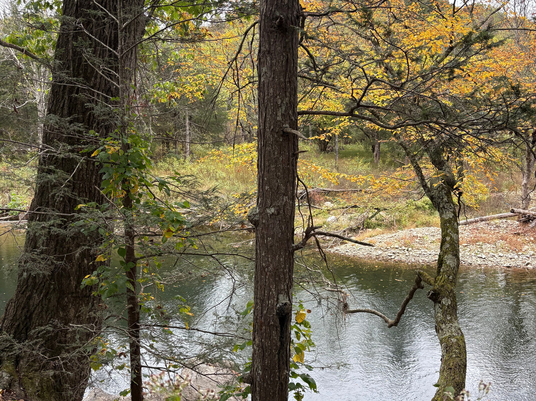 Adventure Damascus Bicycles-Damascus必去景点