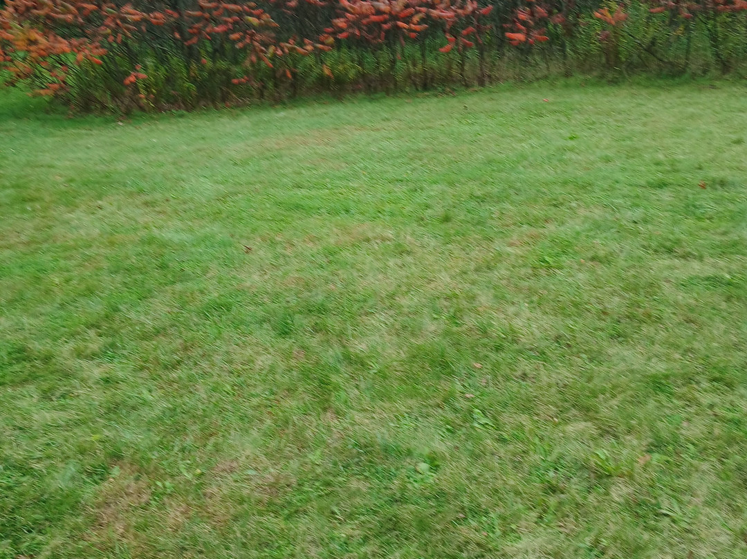 University of Guelph Arboretum-贵湖必去景点