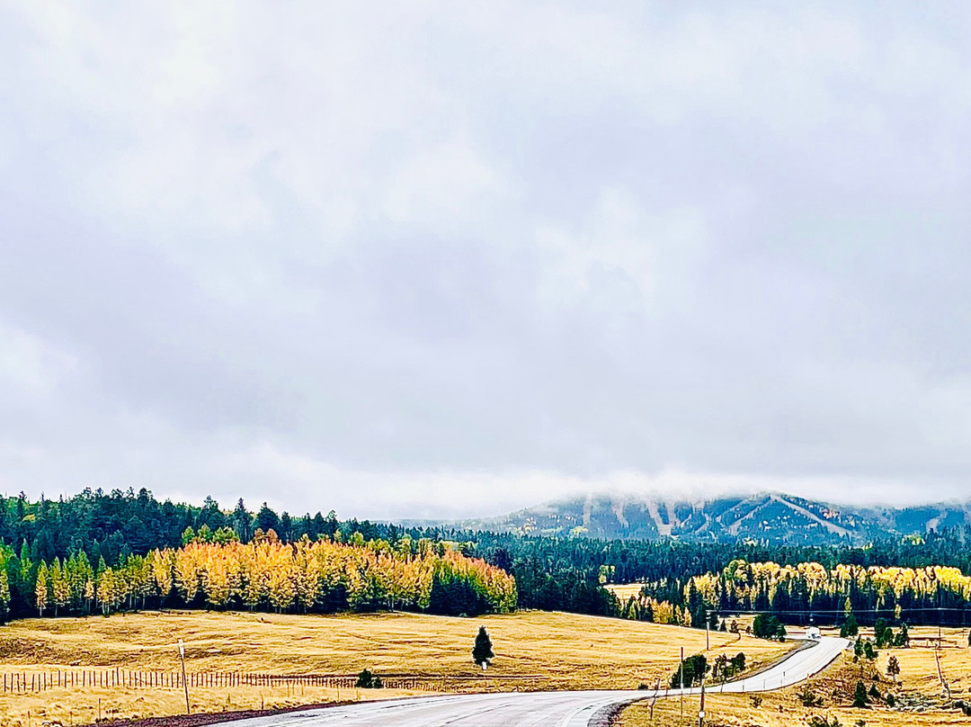 Sunrise Park Resort-Greer必去景点