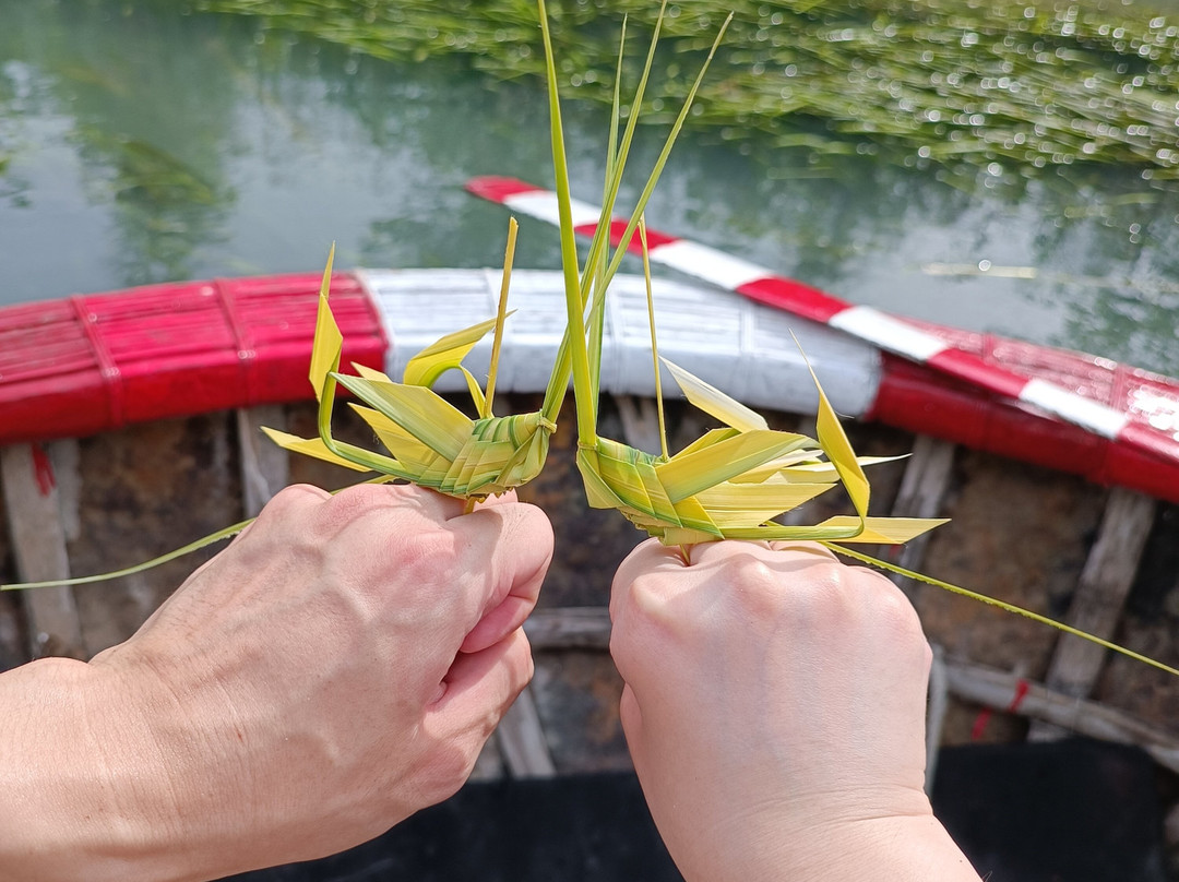 Onion Phi Tours Hoi An-会安必去景点
