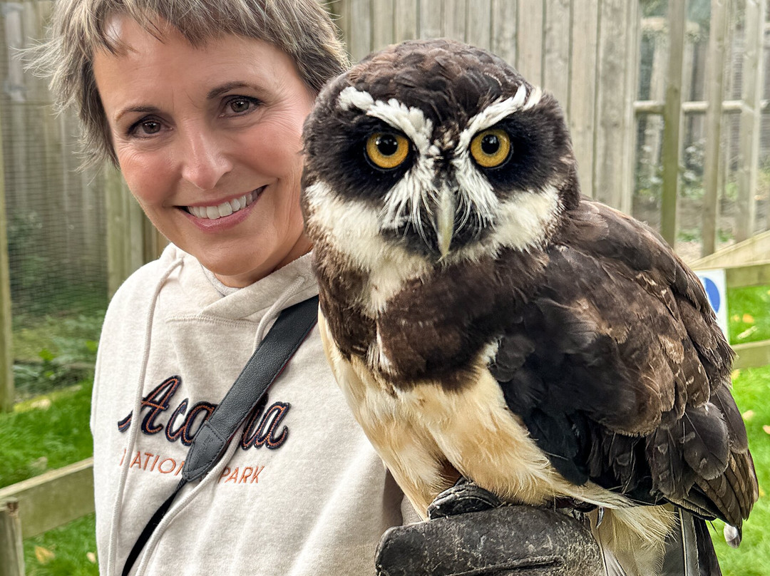 York Bird of Prey Centre-伊辛瓦必去景点