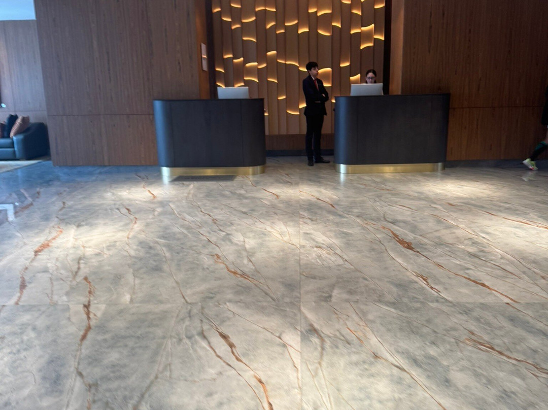 布宜诺斯艾利斯埃塞萨机场假日酒店主图