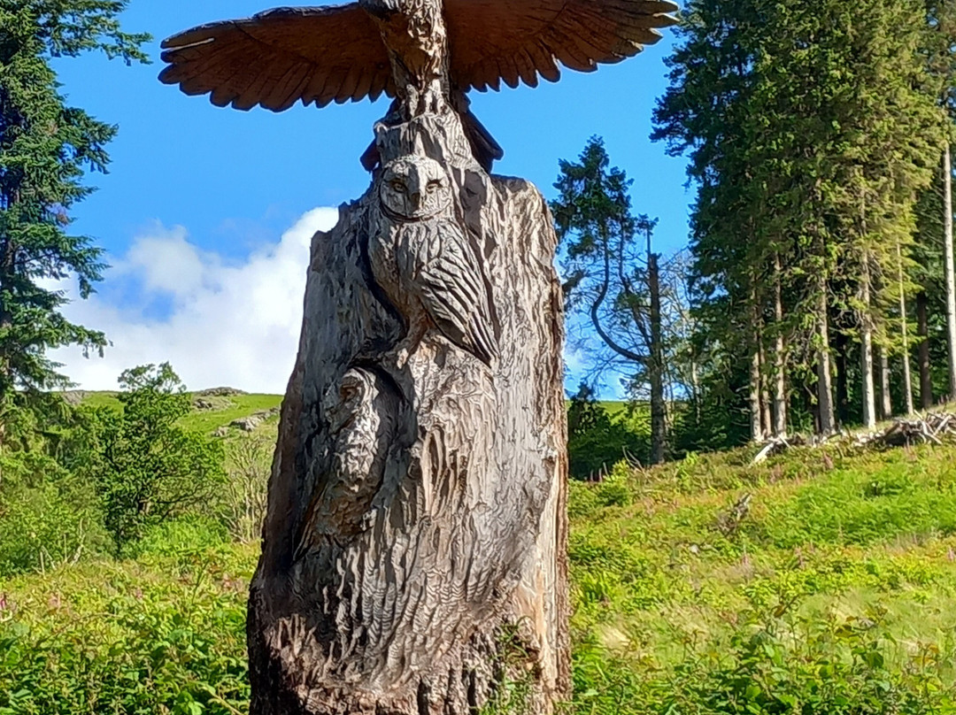 Elan Valley Hotel主图