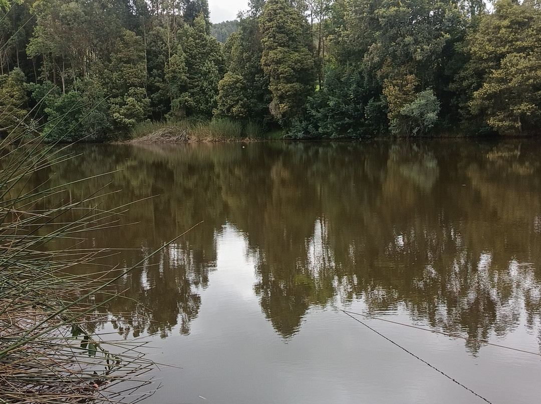 Monasterio Benedictinos El Rosal-El Rosal必去景点