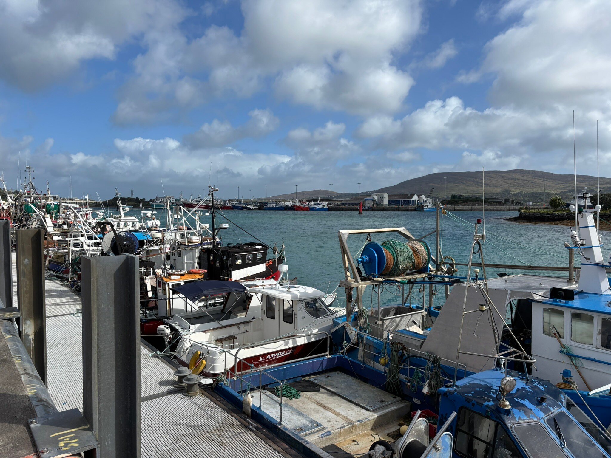 Island View House-官方