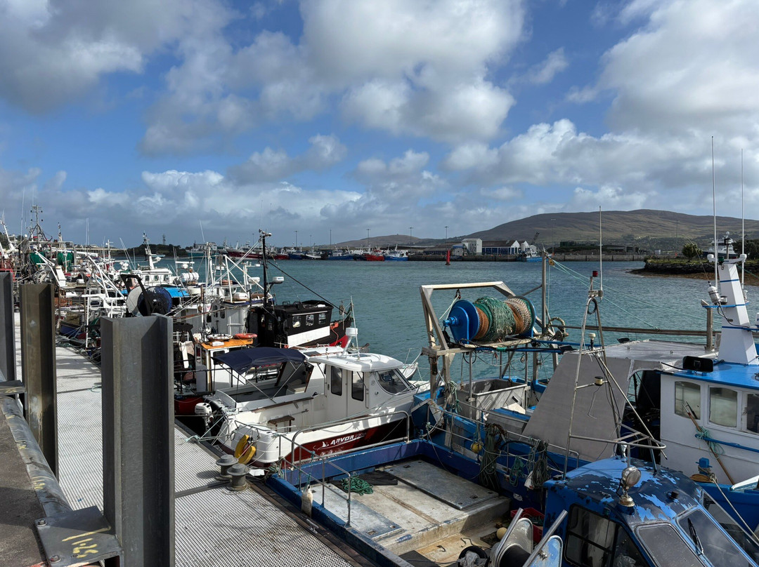 Island View House主图