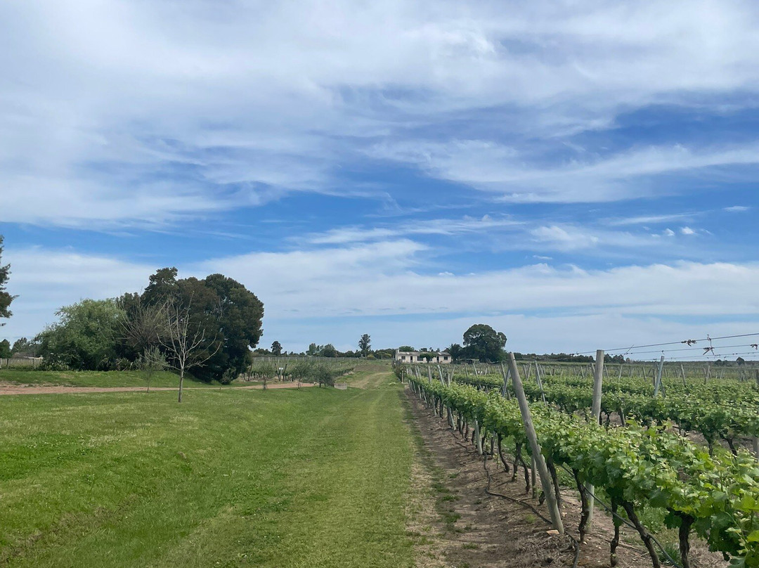 Bodega Garaje Casa Grande-Canelones必去景点