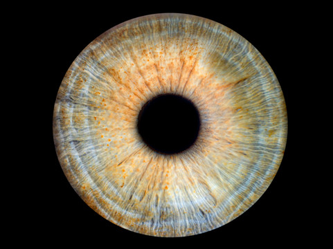 Vizualeyes Leeds-利兹必去景点