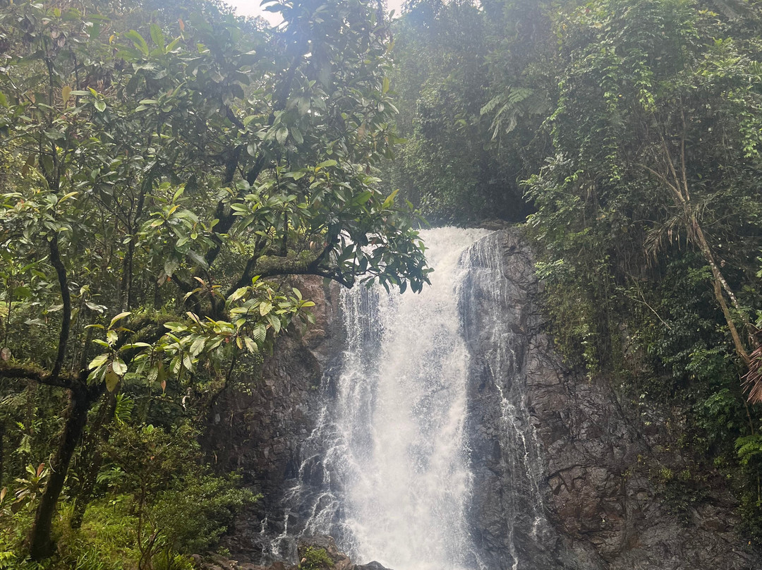 Terra Trek Tours-太平洋港必去景点