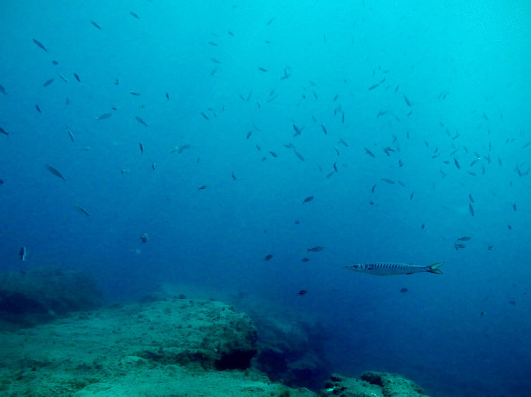 Puerto Rico Diving-波多黎各必去景点