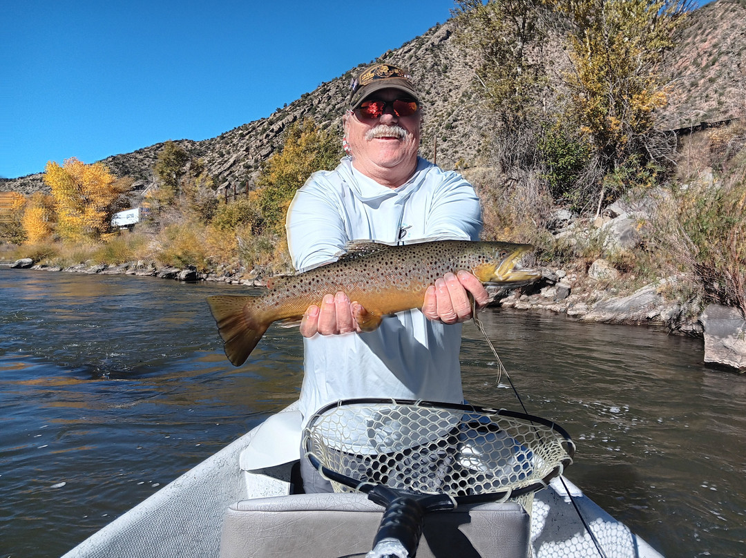 Days Inn by Wyndham Carbondale主图