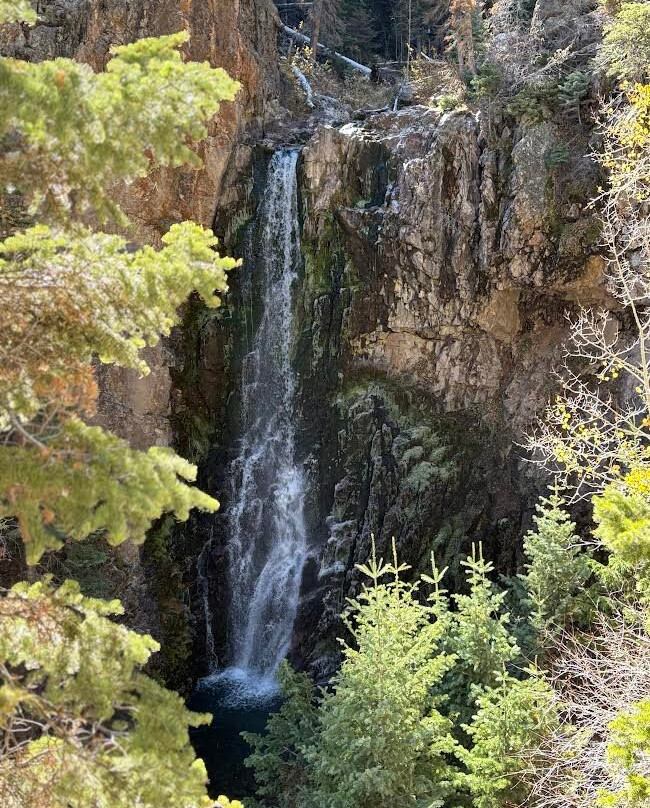 Moore's Old Pine Inn主图