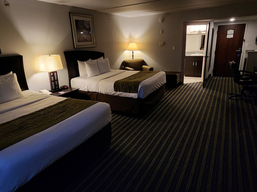 Comfort Inn & Suites主图