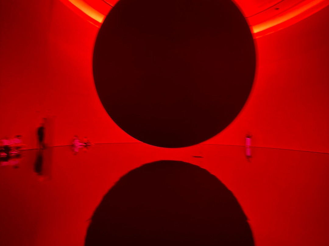 teamLab Phenomena Abu Dhabi-阿布扎比必去景点