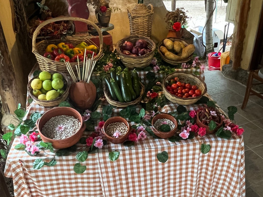 In Italy Tours-特罗佩阿必去景点