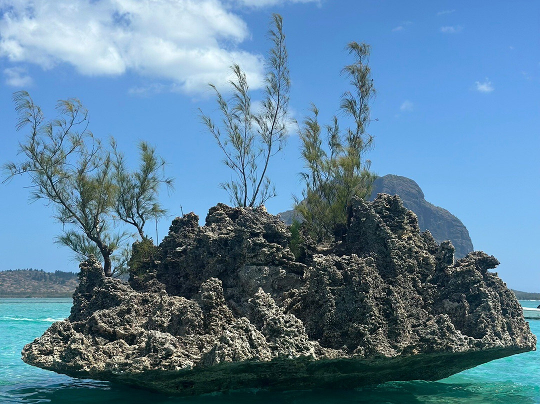 Vitamin Sea™-Black River必去景点