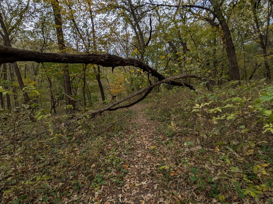 Stone State Park-苏城必去景点